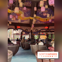 Raiponce Tangled Spin  - IMG 4608