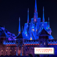 World of Frozen - nuit