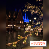 World of Frozen - nuit