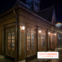 World of Frozen - fjord view shop nuit