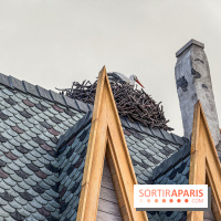 World of Frozen cigogne