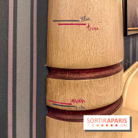 World of Frozen - Rencontre Royale détail Anna Elsa