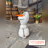 World of Frozen - Olaf