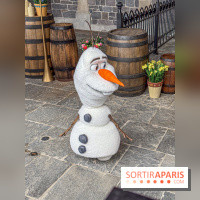 World of Frozen - Olaf