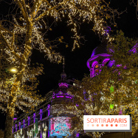 Les illuminations de Noël 2025 du Boulevard Haussmann - IMG 2476
