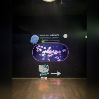 Hello Kitty et ses amis célèbrent les fêtes de fin d'année à l'Aquarium de Paris ! - IMG 8253