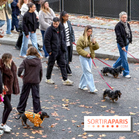 Paris Sausage Walk, la Marche des Teckels 2025 - IMG 1698