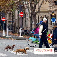 Paris Sausage Walk, la Marche des Teckels 2025