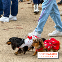 Paris Sausage Walk, la Marche des Teckels 2025