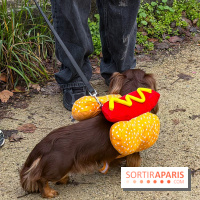 Paris Sausage Walk, la Marche des Teckels 2025