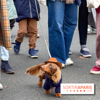 Paris Sausage Walk, la Marche des Teckels 2025