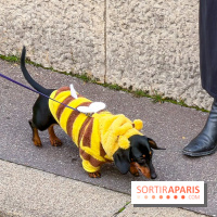 Paris Sausage Walk, la Marche des Teckels 2025