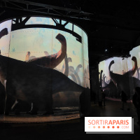 Dinosaures : l'expérience immersive qui nous fait remonter le temps à l'Atelier des Lumières, photos