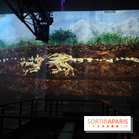 Dinosaures : l'expérience immersive qui nous fait remonter le temps à l'Atelier des Lumières, photos