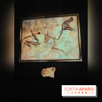 Dinosaures : l'expérience immersive qui nous fait remonter le temps à l'Atelier des Lumières, photos