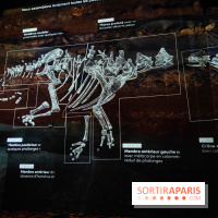 Dinosaures : l'expérience immersive qui nous fait remonter le temps à l'Atelier des Lumières, photos