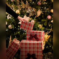 Séjour et dîner raffiné pour les fêtes au Marriott Champs-Élysées - 2025   11   26   Marriott 37