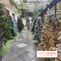 Noël danois à la Maison du Danemark : un voyage culturel pour les fêtes sur les Champs-Elysées - fotor 1764846290624