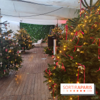 Noël danois à la Maison du Danemark : un voyage culturel pour les fêtes sur les Champs-Elysées