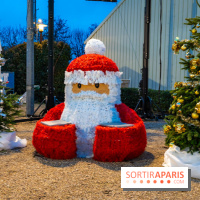 Le Marché de Noël d'Elancourt dans les Yvelines 2025 - photos  - A7C02511
