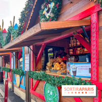 Noël au Parc Astérix 2025, patinoire et marché de Noël  - IMG 7398