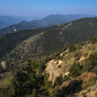Paris Randos Nature 2026 au Parc Floral de Pari - 2
