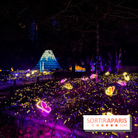 Le Japon en Lumières : le parcours lumineux et festival des lanternes 2025 du Jardin d'Acclimatation