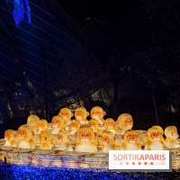 Le Japon en Lumières : le parcours lumineux et festival des lanternes 2025 du Jardin d'Acclimatation