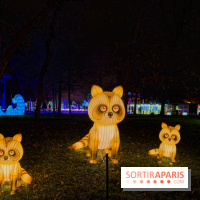 Le Japon en Lumières : le parcours lumineux et festival des lanternes 2025 du Jardin d'Acclimatation