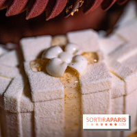 Bûche de Noël Cheval Blanc 2025 : Maxime Frédéric dévoile un sapin exceptionnel - photos - A7C02779