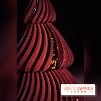 Bûche de Noël Cheval Blanc 2025 : Maxime Frédéric dévoile un sapin exceptionnel - photos - A7C02783