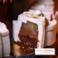 Bûche de Noël Cheval Blanc 2025 : Maxime Frédéric dévoile un sapin exceptionnel - photos - A7C02785