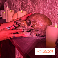 Wolf Gang – La Menace des Loups - IMG 2458 2