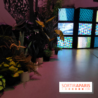 All About Love : l'exposition audacieuse et vivante de Mickalene Thomas au Grand Palais - photos