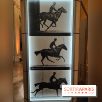 Zeus, chef d'œuvre d'artisans : une exposition sur le cheval des JO au musée des Arts et Métiers - fotor 1765963918546