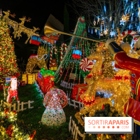 Ce passionné en Essonne transforme son jardin en Village de Noël à visiter gratuitement