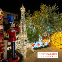 Ce passionné en Essonne transforme son jardin en Village de Noël à visiter gratuitement