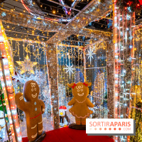 Ce passionné en Essonne transforme son jardin en Village de Noël à visiter gratuitement