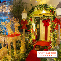 Ce passionné en Essonne transforme son jardin en Village de Noël à visiter gratuitement