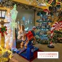 Ce passionné en Essonne transforme son jardin en Village de Noël à visiter gratuitement