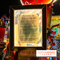 Ce passionné en Essonne transforme son jardin en Village de Noël à visiter gratuitement