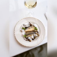 Abstinence - L1560327 copy