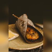 Vesper 2026 - Vesper 06398 min copy