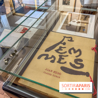 Claude Simon au Musée Lambinet : nos photos de l'exposition à Versailles - IMG 2919