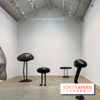 Erwin Wurm - Tomorrow yes : l'exposition gratuite à la galerie Thaddaeus Ropac, à Pantin (93) - IMG 9179