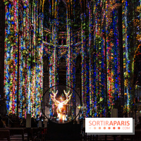L'Odyssée Céleste à l'église Saint-Eustache à Paris, le nouveau spectacle Luminiscence 