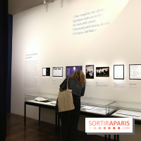 Dis quand reviendras-tu ? Barbara et son public, nos photos de l'exposition à la BnF François-Mitterrand  - Barbara Expo 17 fotor 20260127155239