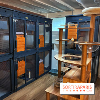 Le Chatelier  - IMG 2476