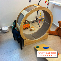 Le Chatelier  - IMG 2484