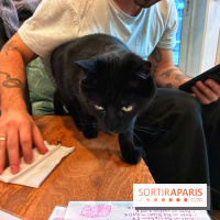 Le Chatelier  - IMG 2498